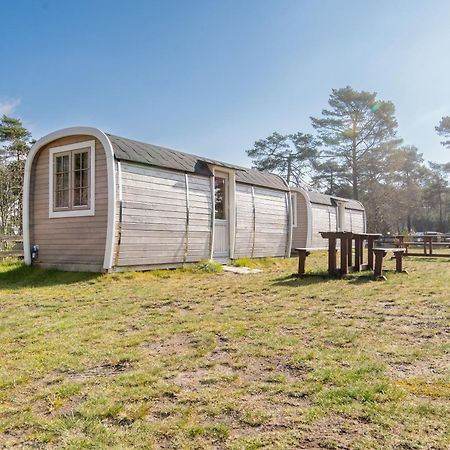 Naturcamping Lueneburger Heide - Chalets & Tiny Haeuser 졸타우 외부 사진