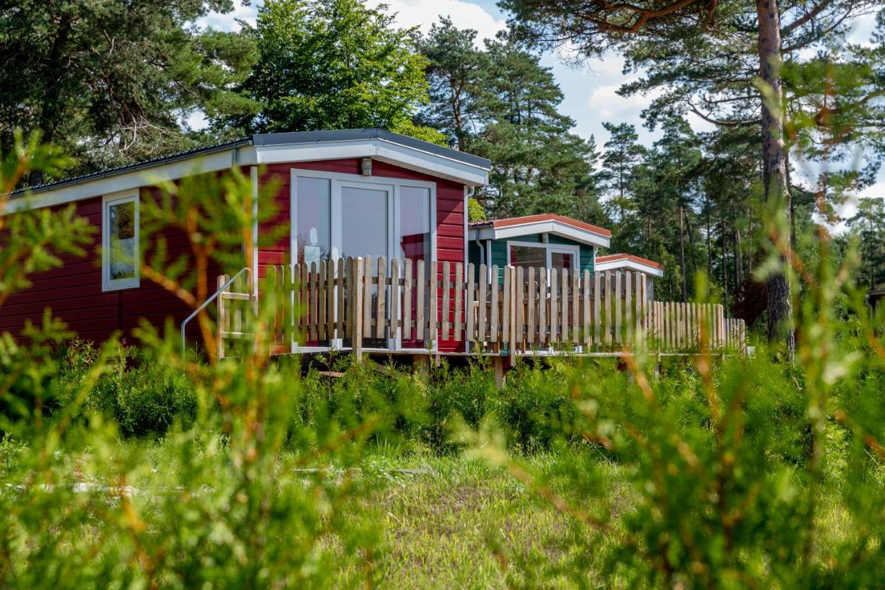 Naturcamping Lueneburger Heide - Chalets & Tiny Haeuser 졸타우 외부 사진