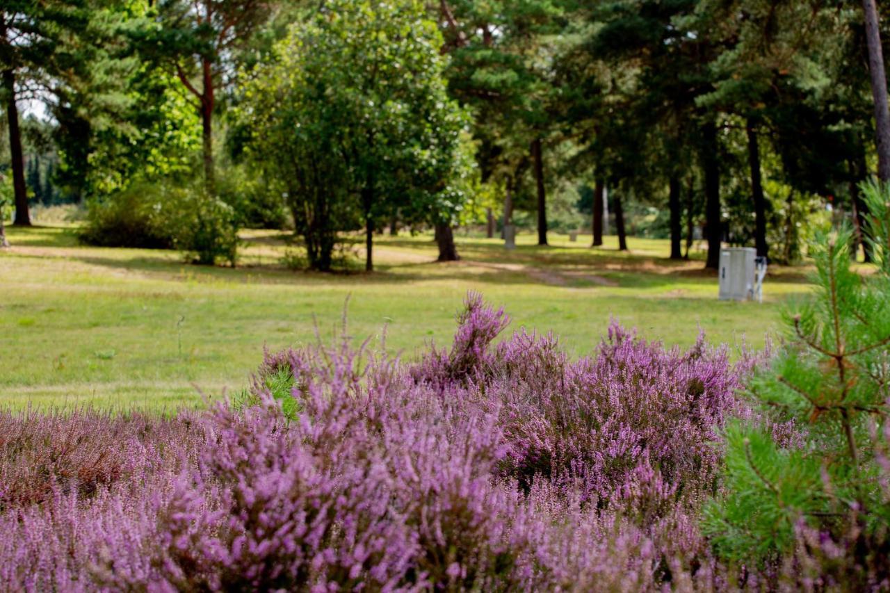 Naturcamping Lueneburger Heide - Chalets & Tiny Haeuser 졸타우 외부 사진