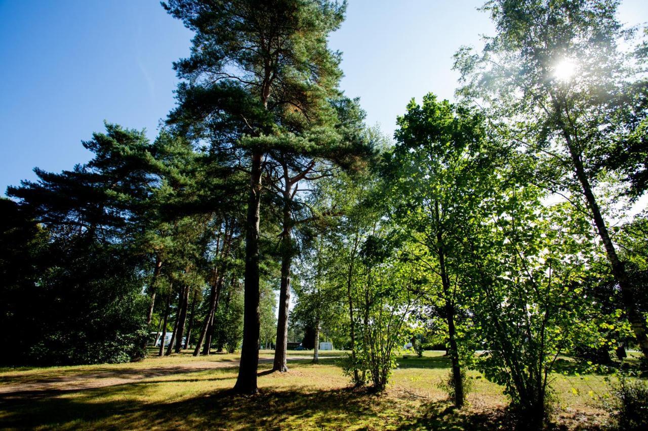 Naturcamping Lueneburger Heide - Chalets & Tiny Haeuser 졸타우 외부 사진