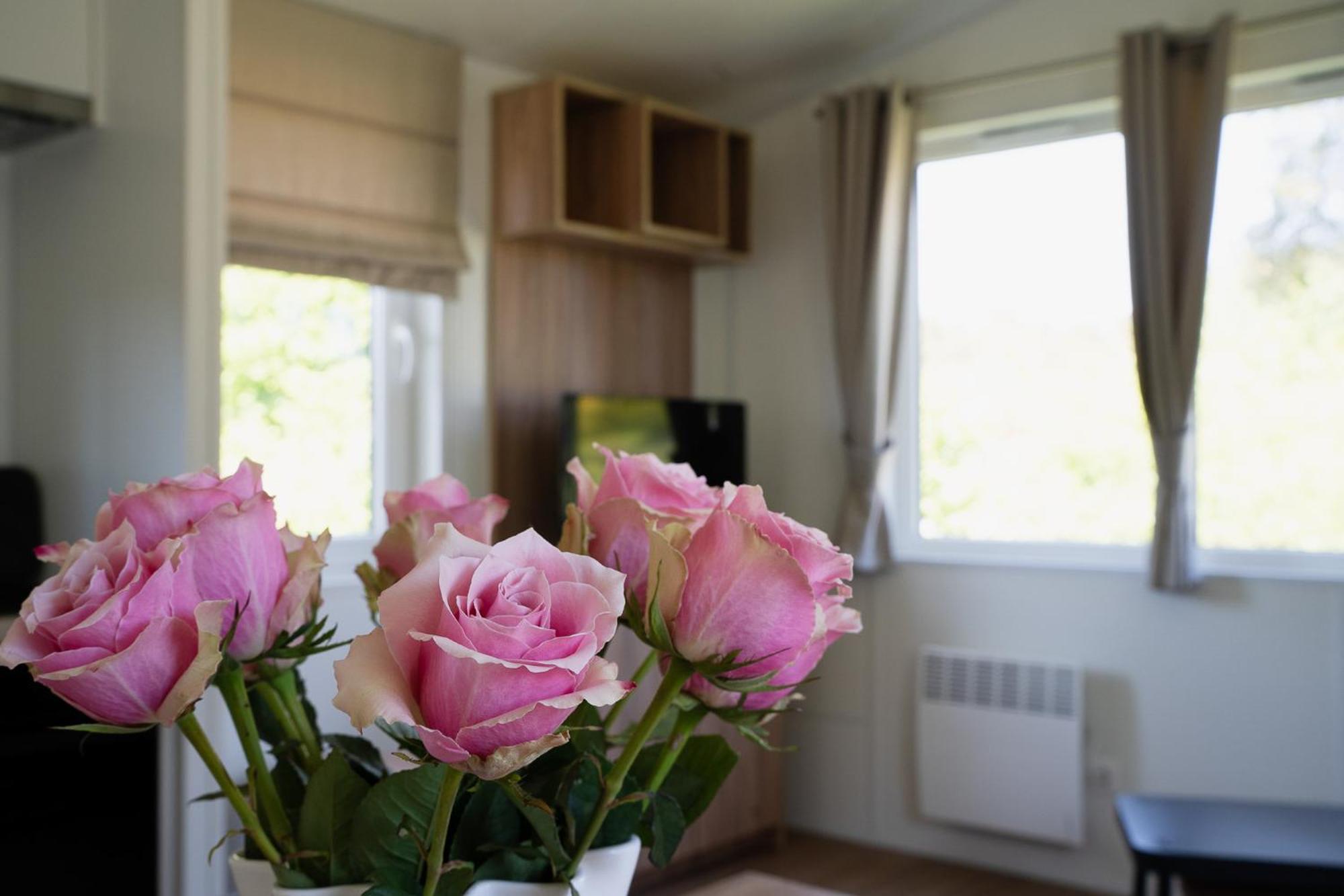 Naturcamping Lueneburger Heide - Chalets & Tiny Haeuser 졸타우 외부 사진